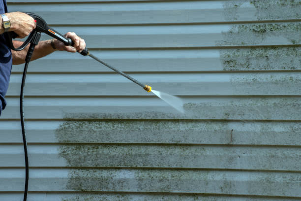 Best Driveway Cleaning and Restoration in Sullivan City, TX